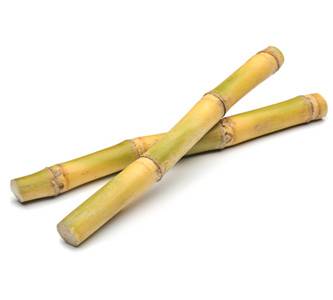 Optimized-Sugar-Cane_02.jpg