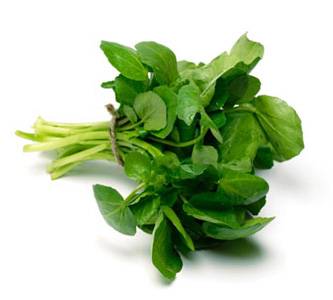 Optimized-Watercress-001.jpg